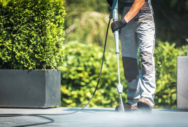 Solar Panel Cleaning in Moline, IL